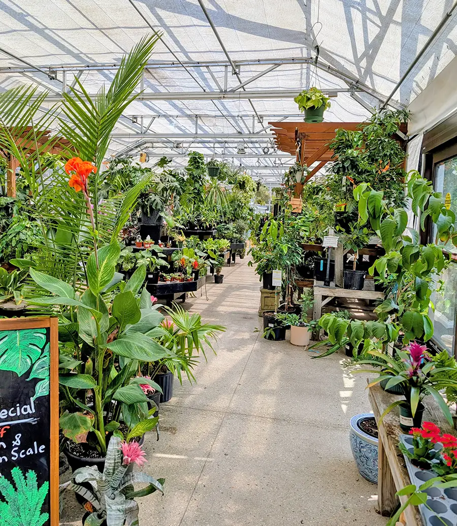 Churchill's Garden Center - Exeter, NH - Houseplant Greenhouse