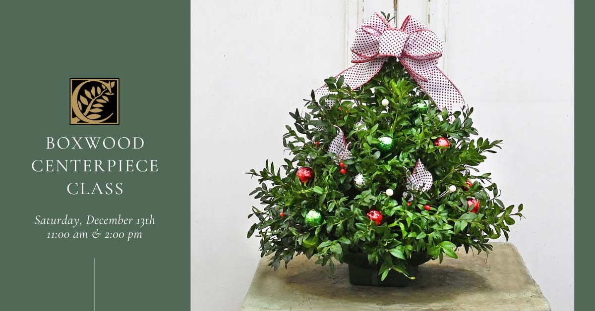 Churchill's Garden Center, Exeter, NH - Boxwood Centerpiece Class