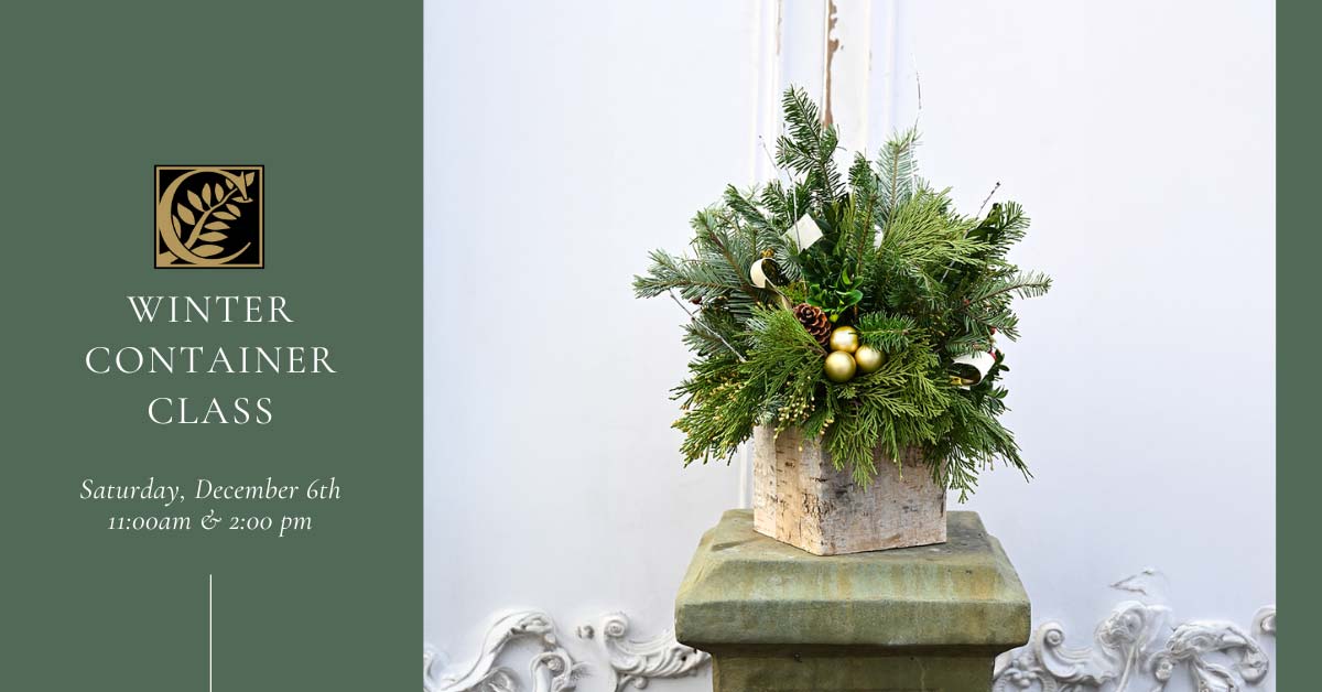 Churchill's Garden Center, Exeter, NH - Winter Container Class