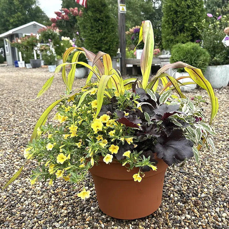 Churchill's Garden Center - Fall Container Workshop