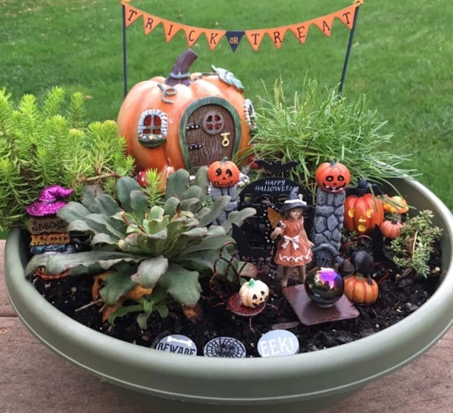 Churchill's Garden Center - Events for Kids - Container garden with plants and halloween fairy garden pieces
